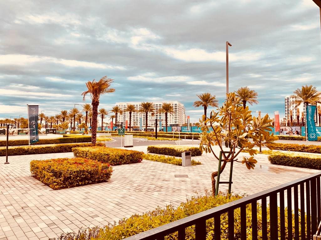 A view of a luxurious courtyard with palm trees.