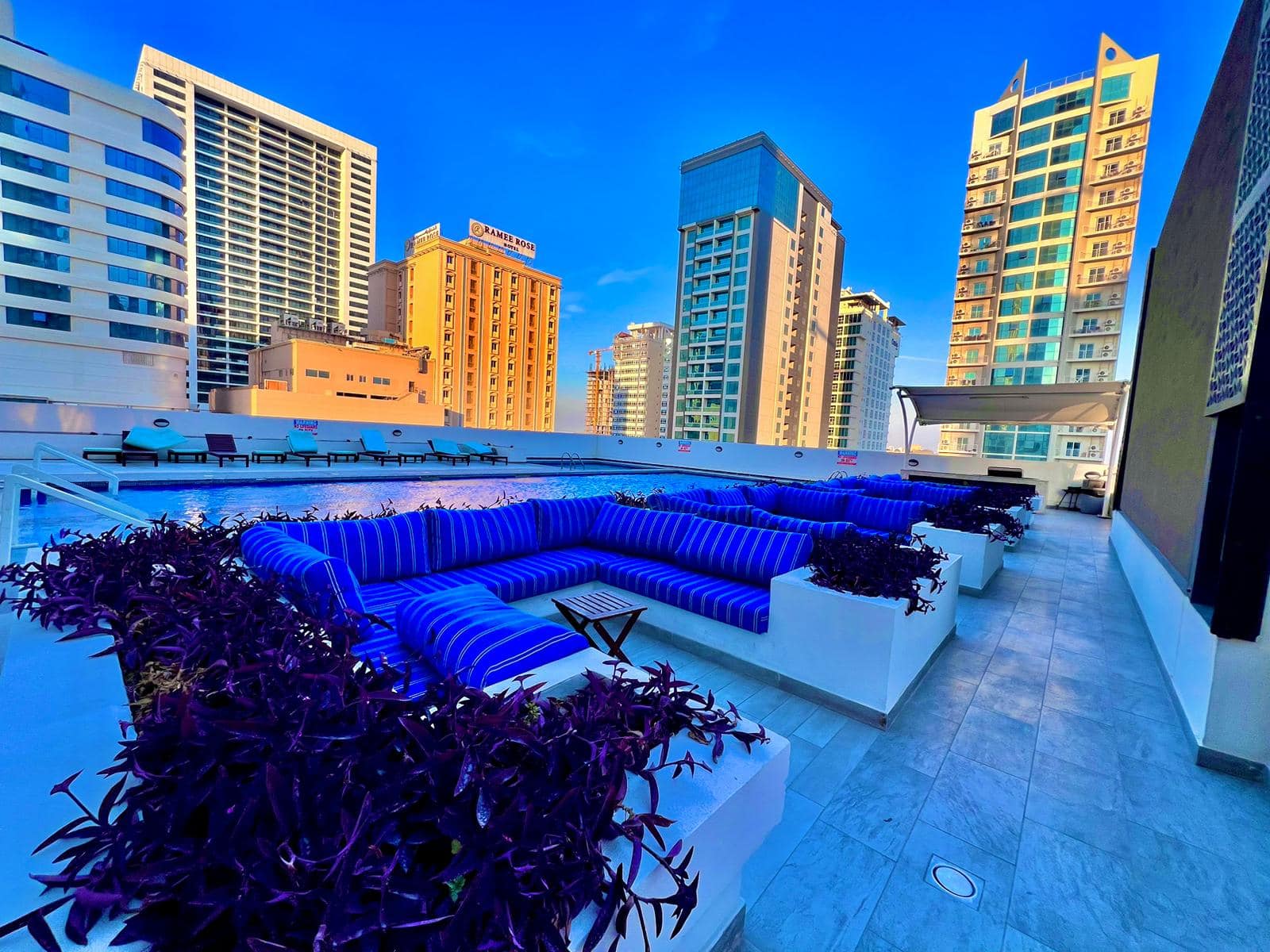 An Auto Draft rooftop patio with blue couches and purple plants.