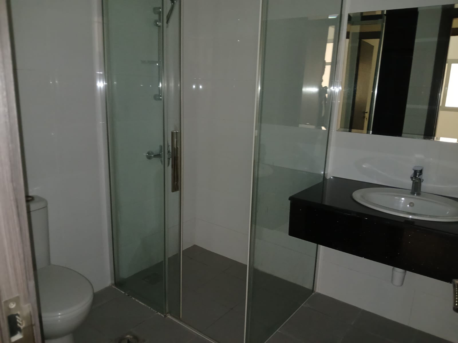 A modern bathroom with a glass-enclosed shower, a toilet, and a black countertop sink under a wall-mounted mirror.