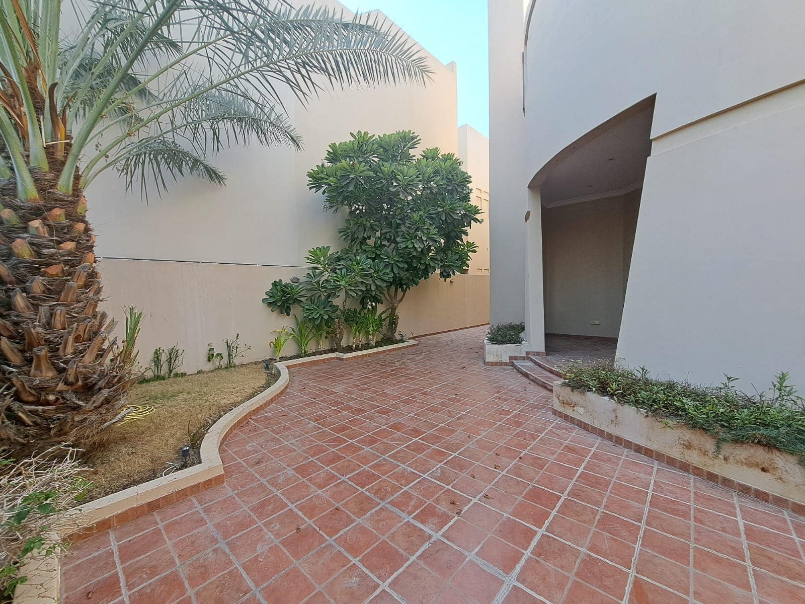 A paved walkway lined with palm and other trees leads to the entrance of a modern, luxurious villa in Saraya 1, with light-colored walls.