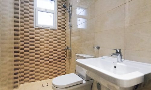 Newly tiled bathroom with toilet.