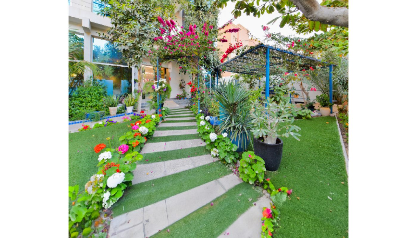 A stone pathway winds through a garden with colorful flowers, green plants, and trees, leading to a building entrance.