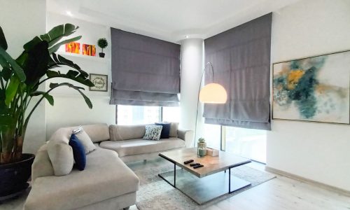 A furnished living room in a Western-style apartment featuring a grey couch and a plant.