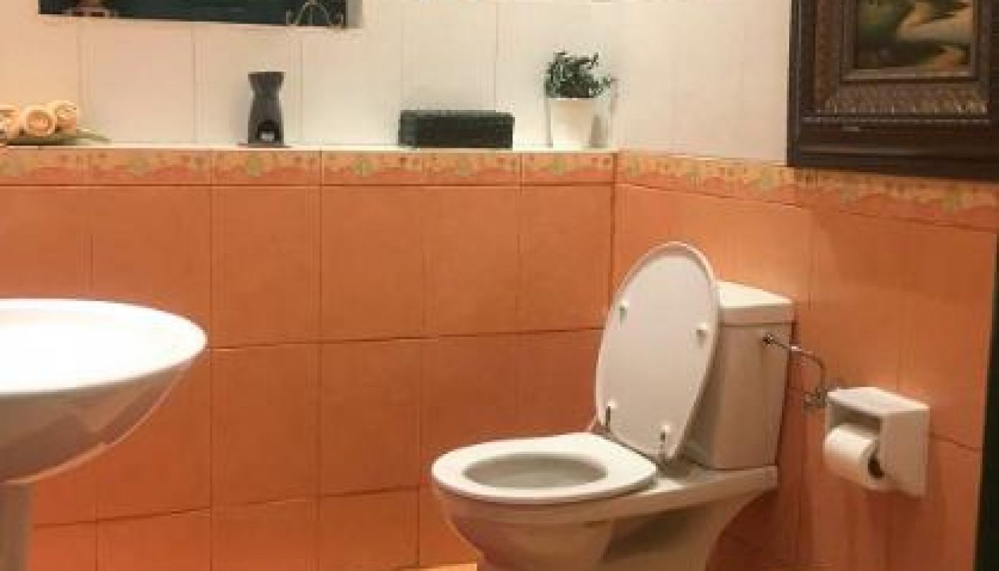 Bathroom with orange and white tiles, toilet, bidet, sink, two red rugs, green trash bin, window with AC unit, and a landscape painting on the wall.