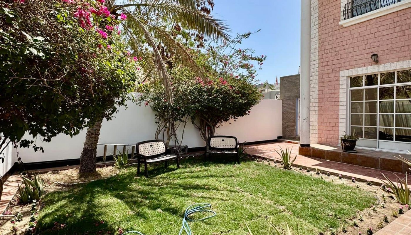 A small garden with green grass, scattered hoses, benches, flowering bushes, a palm tree, and part of a two-story house with large windows under a clear blue sky.