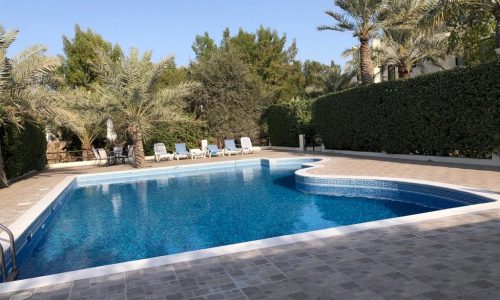 A clear blue swimming pool surrounded by palm trees and lounge chairs on a tiled patio under a clear sky.