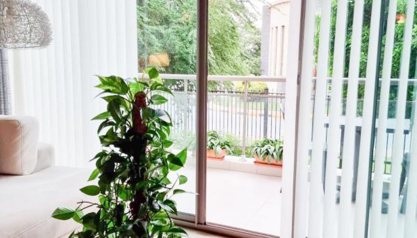 A potted plant stands near a sliding glass door with vertical blinds, leading to a balcony with potted plants and greenery outside.