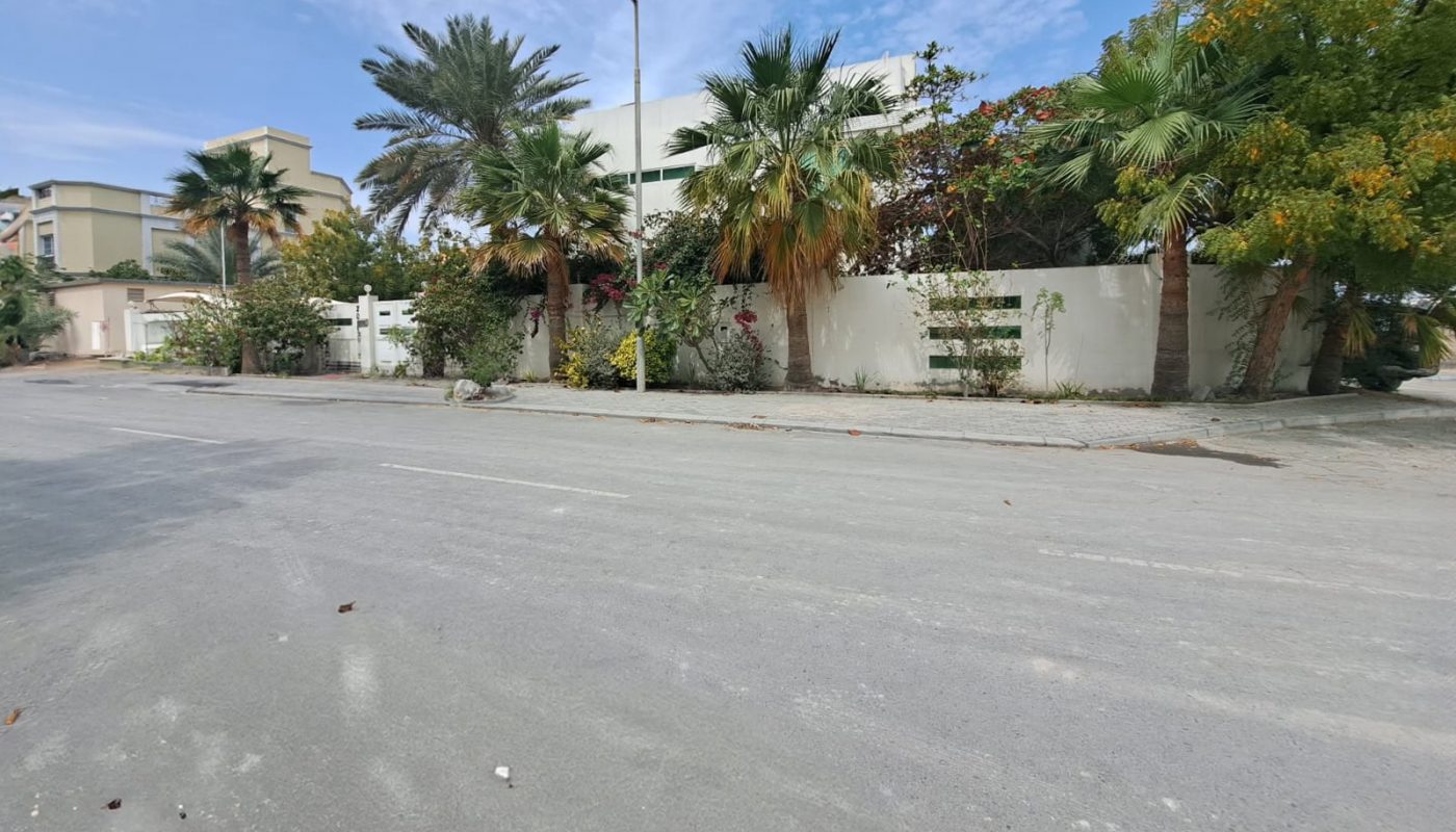 A quiet street with palm trees and a lamppost stands under a partly cloudy sky. Houses with white walls are seen in the background, creating a serene, almost auto draft-like backdrop.