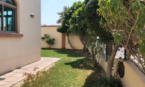 Small backyard with a lawn, paved path, and trees along a wall. A white building with a small window is on the left.