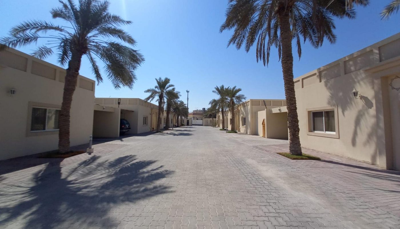 A sunny street lined with palm trees and modern single-story buildings, under a clear blue sky.