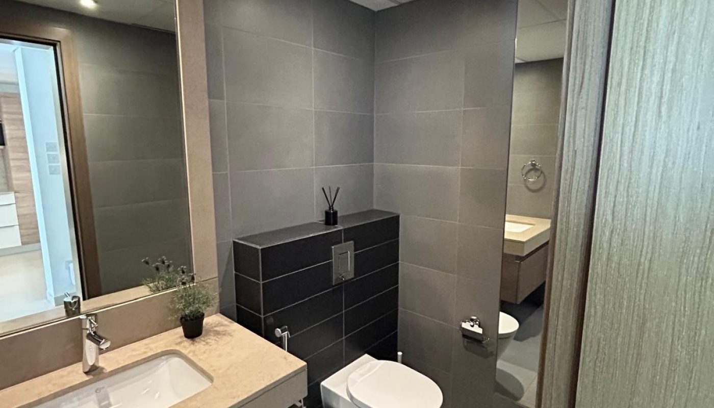 Modern bathroom with gray tiles, wall-mounted toilet and bidet, large mirror above a beige countertop, and a small potted plant next to the sink.