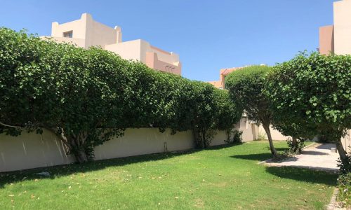 A garden with neatly trimmed hedges, a green lawn, and a paved pathway in front of beige residential buildings under a clear blue sky.