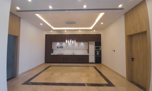 A modern apartment with a living room and kitchen.