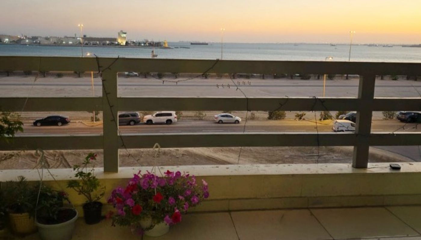 A balcony with potted plants overlooks a road, parked cars, and a body of water at sunset with city lights visible in the distance.