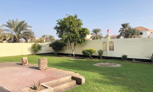 A backyard with a green lawn, a small tree, a bush, a brick pathway, and a white wall surrounding the area. Palm trees and houses are visible in the background.