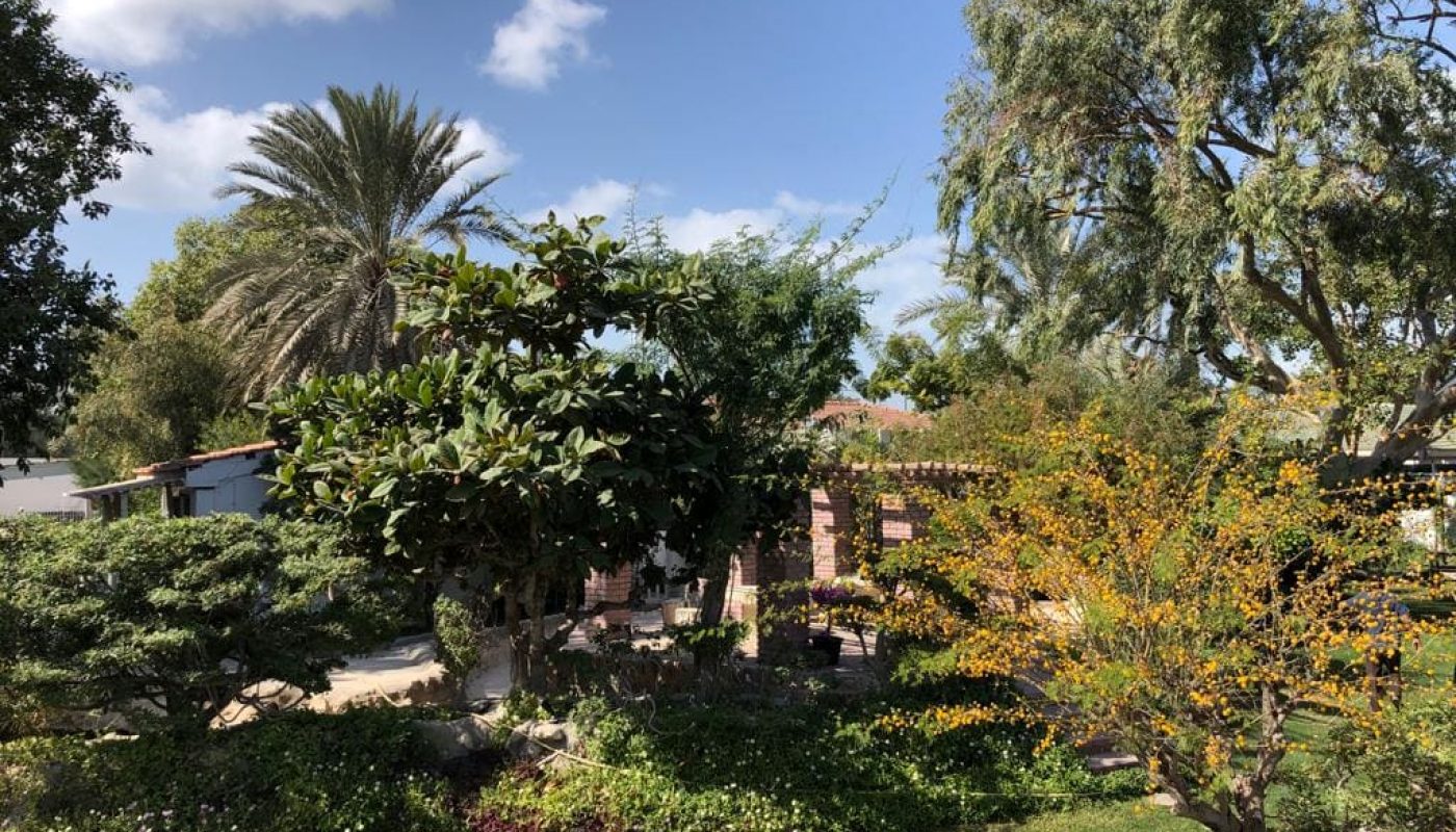 A lush garden with diverse vegetation, featuring a large tree in the foreground and a spacious villa amidst greenery in the background, under a clear blue sky.