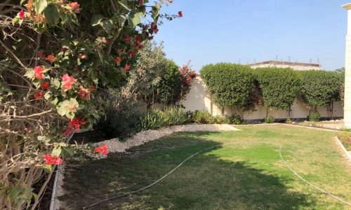 Luxury backyard with flowers