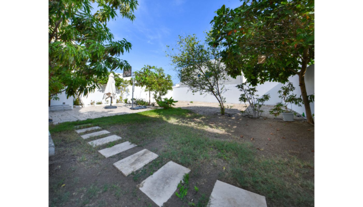 A backyard with a dirt and grass lawn, stone paver pathway, several trees, and a white wall surrounding the area. An umbrella and patio furniture are visible in the background.