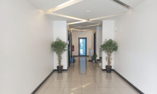 A luxurious hallway with a plant in the middle.