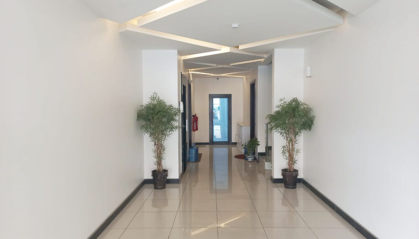 A luxurious hallway with a plant in the middle.