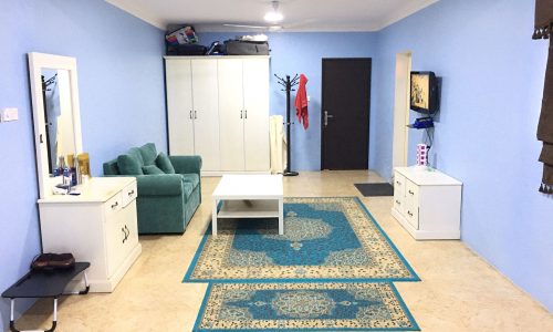 Glorious blue living room with a blue rug.