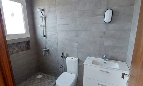 A bathroom with a sink and shower.