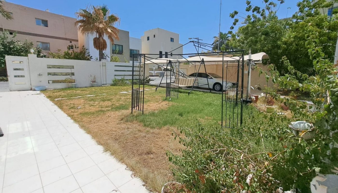 A backyard with a mix of green and dry grass, tiled pathway, metal frame structure, and vegetation. Residential houses, a boat, and clear blue sky in the background give it an Auto Draft feel.