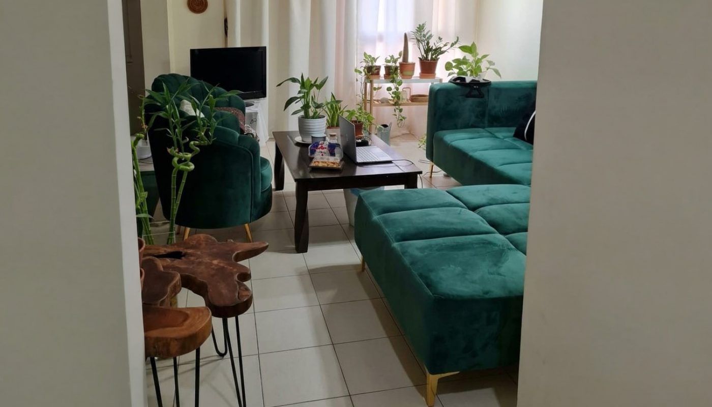 A living room with green sofas, coffee table, houseplants, a TV, and a window with curtains letting in natural light.