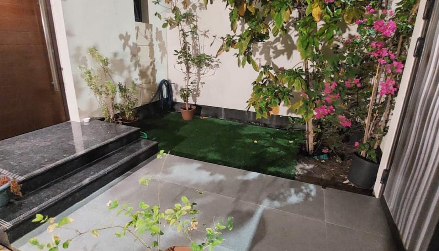 Entrance with dark steps leading to a doorway, surrounded by plants in pots and planted in the ground, with a small artificial grass patch.