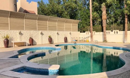 A pool with clear water is surrounded by sun loungers, palm trees, and a beige privacy wall with decorative patterns on a sunny day.