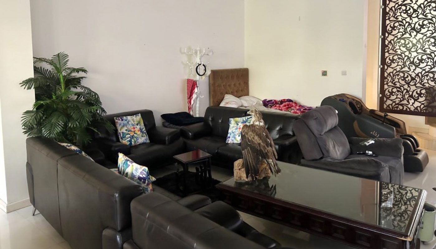 Modern living room with black leather sofas, a glass coffee table, indoor plant, patterned ceiling, and assorted items scattered on the furniture.