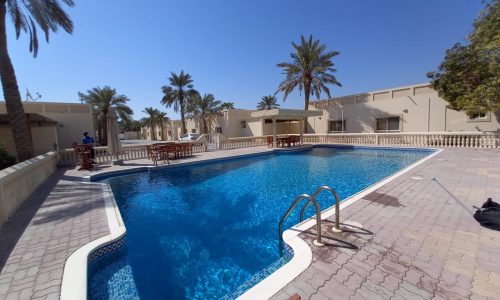 Outdoor swimming pool surrounded by palm trees and low buildings under a clear blue sky.