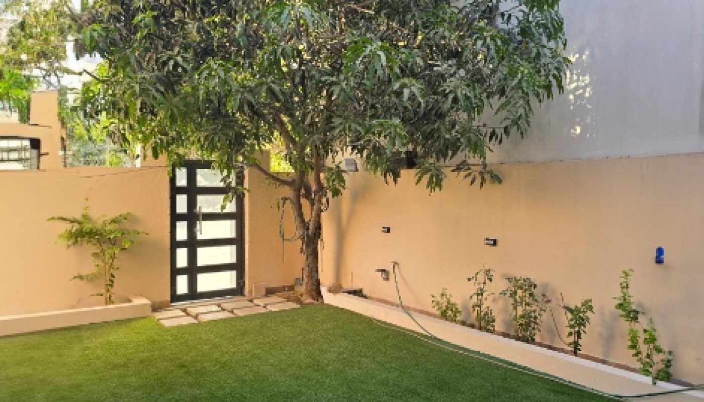 A small backyard garden with a green lawn, a large tree near the wall, a row of small plants, and a modern gate in the background.