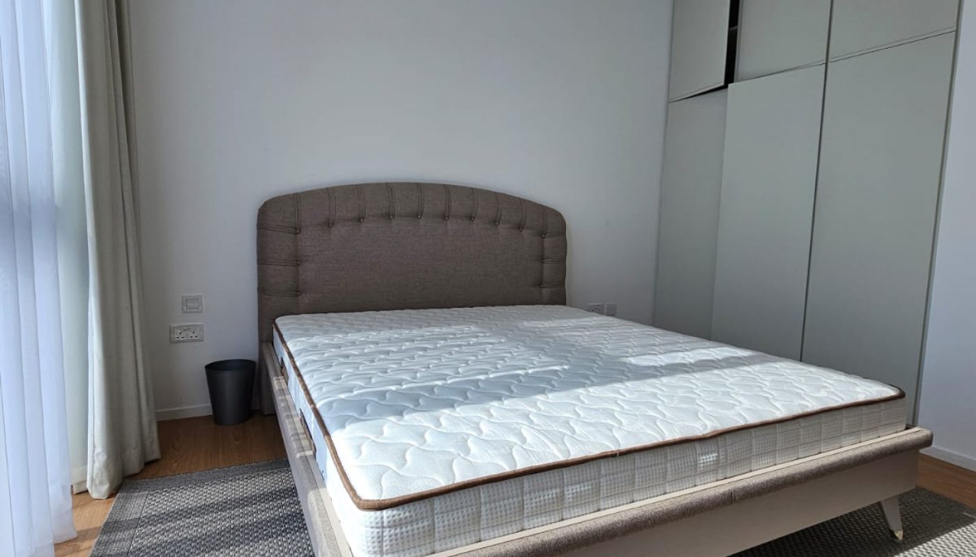 A neatly made bed with a mattress sits on a rug in a modern, minimally furnished bedroom with built-in closets and large windows with sheer curtains.
