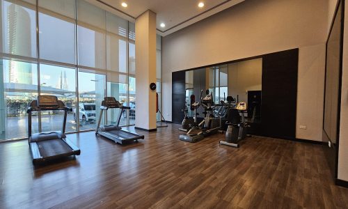 Modern gym with cardio machines overlooking a cityscape through large windows, upgraded to include Auto Draft systems.