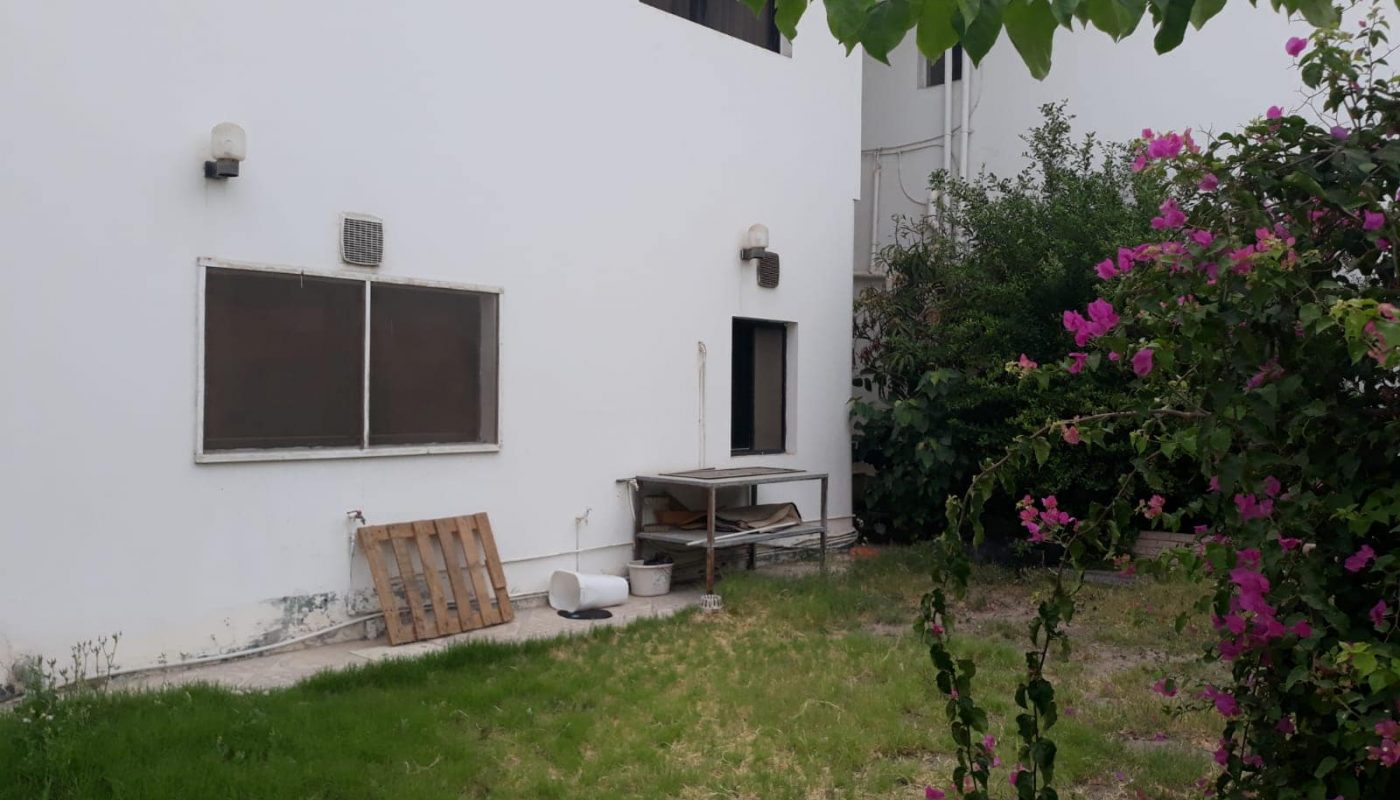 A white building with two windows and a garden area. A wooden pallet and other items are near the wall. Pink flowering plants and greenery are in the foreground.