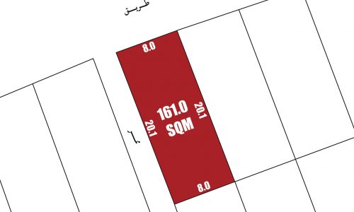 A rectangular plot marked in red with dimensions labeled 8.0m x 20.1m, totaling 161.0 SQM, among other plots on a grid.