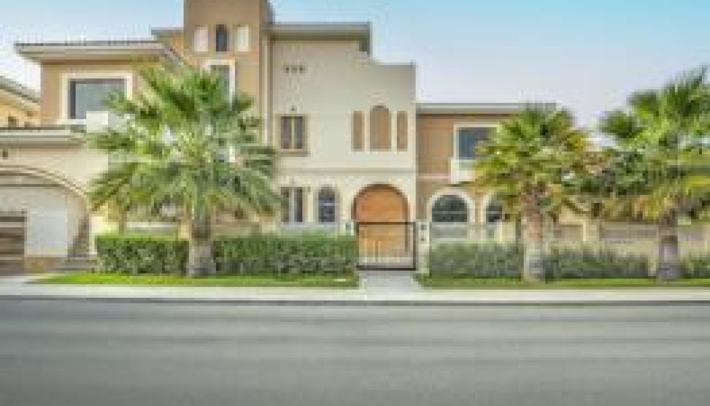 Two-story modern house with an arched front door, large windows, and palm trees in the landscaped front yard, viewed from across the street.