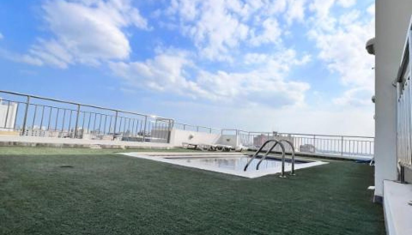 A rooftop area with artificial grass, a small rectangular pool, metal pool ladder, and a metal railing, under a partly cloudy sky.