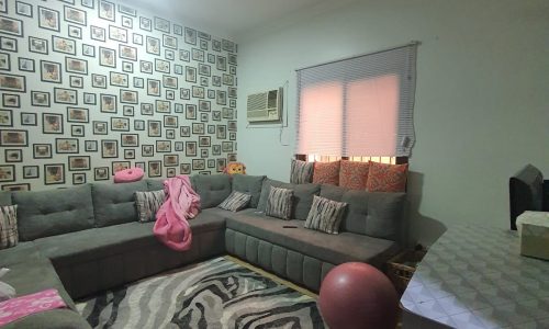 A living room with a couch and zebra print rug in an Auto Draft style.