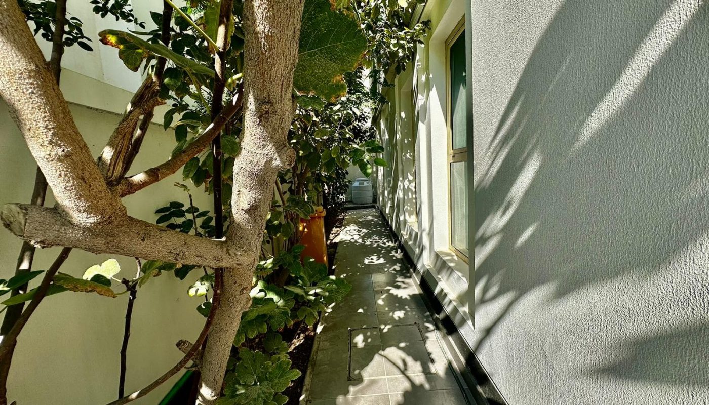 A tree in the middle of a walkway next to a building with a luxurious feel.