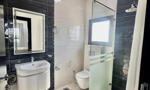 A black and white bathroom with a toilet and sink.