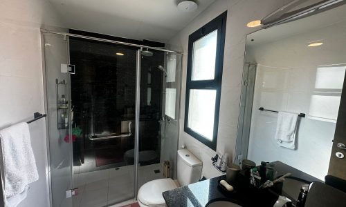 A fully-furnished luxury bathroom in an apartment, featuring a glass shower stall and sink.