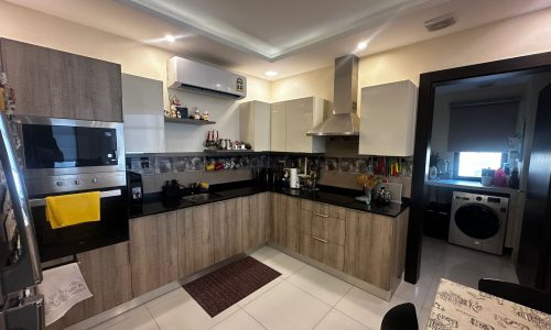 A luxury modern kitchen with a washer and dryer in it.