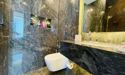 A marble bathroom with a toilet and sink.