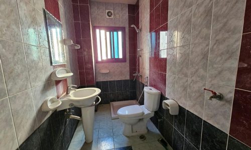 A flat with red and white tiles and a toilet.