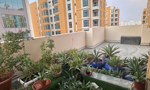 A furnished apartment balcony with potted plants.