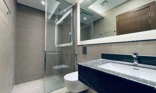 A modern bathroom in a 1BR Apartment with a glass shower enclosure, toilet, and vanity with a large mirror.