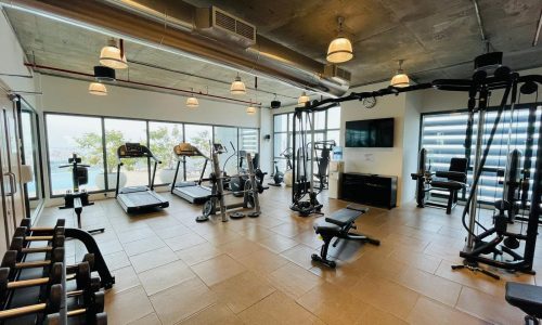 A modern, well-equipped gym with various exercise machines and weights, featuring large windows that offer natural light and an Auto Draft view.