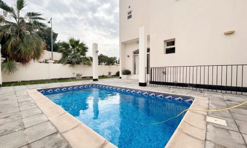 A residential backyard featuring a kidney-shaped swimming pool, surrounded by an auto draft area and a metal fence, with a palm tree and the side of a modern house in the background.